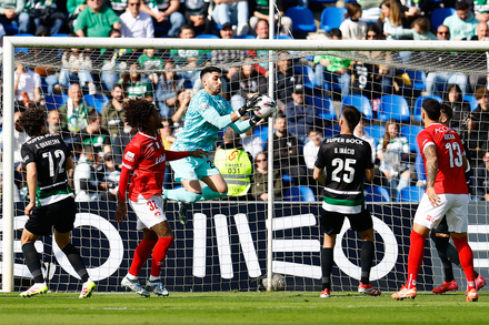 Liga Portugal Betclic: Santa Clara x Sporting