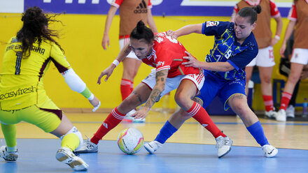 Liga Feminina Placard 23/24 | Nun´Álvares x Benfica (Final 2)