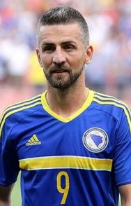 Vedad Ibisevic (BIH)