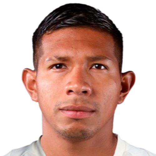 dison Flores