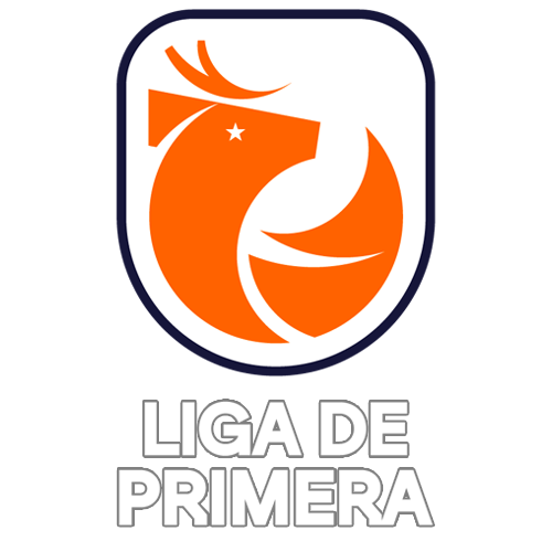 Liga Chilena 2024