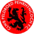 Penrhyncoch FC