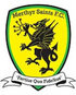 Merthyr Saints