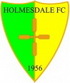 Holmesdale FC