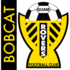 Bobcat Rovers
