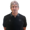 Manuel Pellegrini