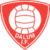Dalum IF