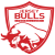 Jersey Bulls